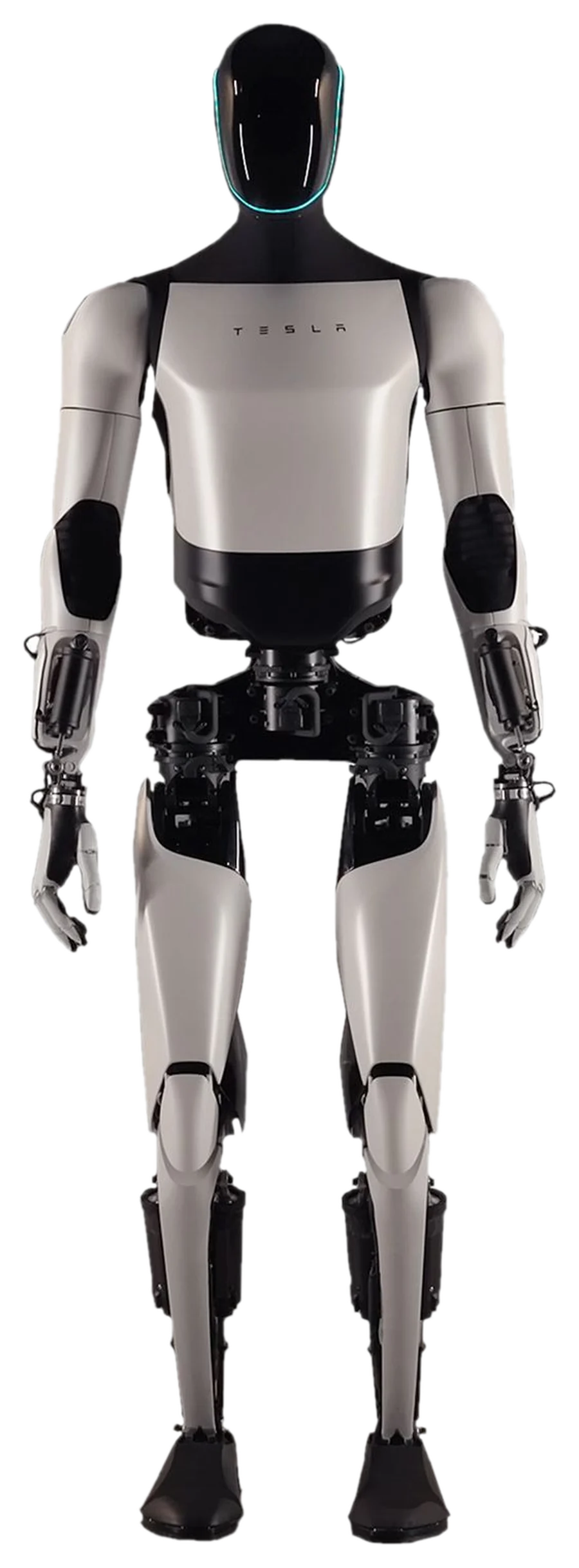 Tesla Optimus humanoid robot standing, front view